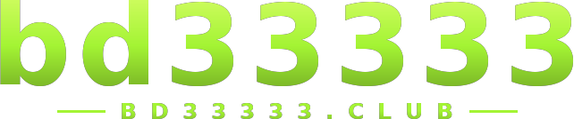 bd33333 logo